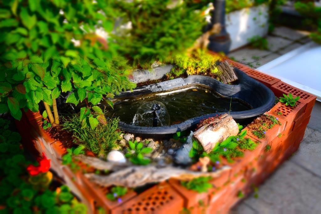 Bnb Haus Weibel Landquart Dış mekan fotoğraf