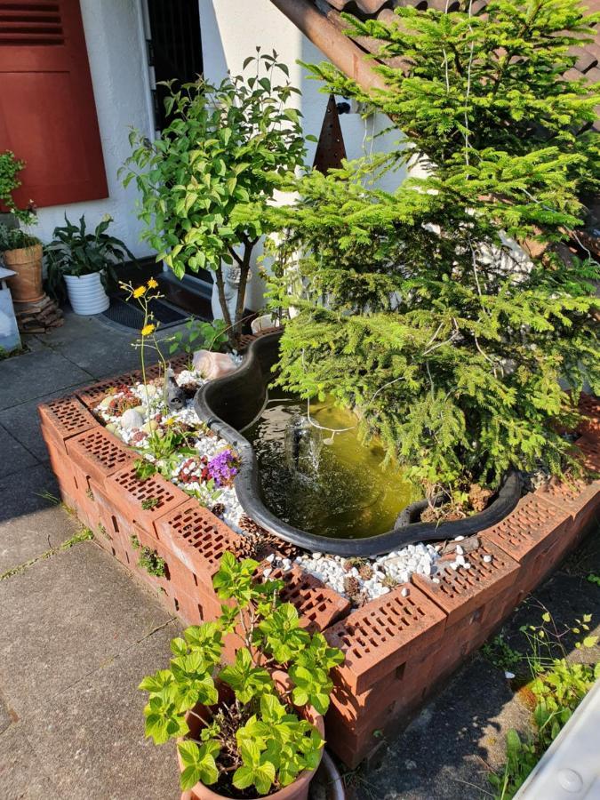 Bnb Haus Weibel Landquart Dış mekan fotoğraf